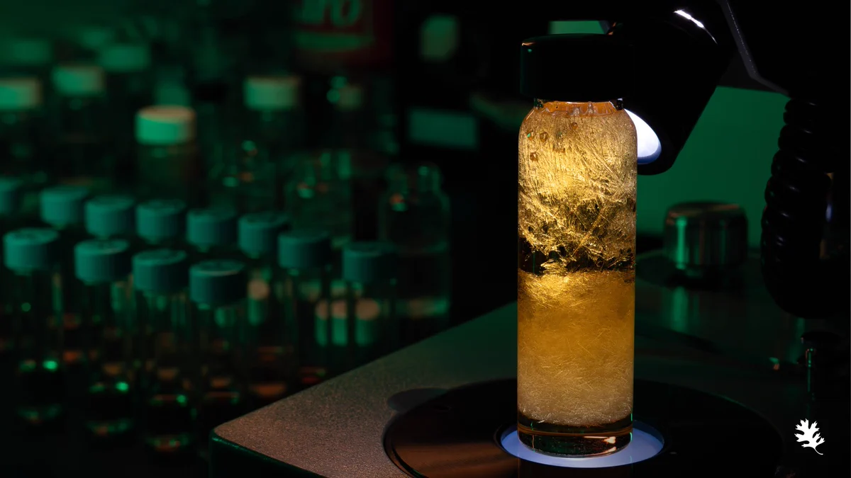 A clear sample vial illuminated beneath a microscope, revealing dense, golden, needle-like crystalline structures suspended inside. The vial demonstrates the result of rare earth element separation using a single chameleonic ligand. Additional sample vials are softly blurred in the dark laboratory background.