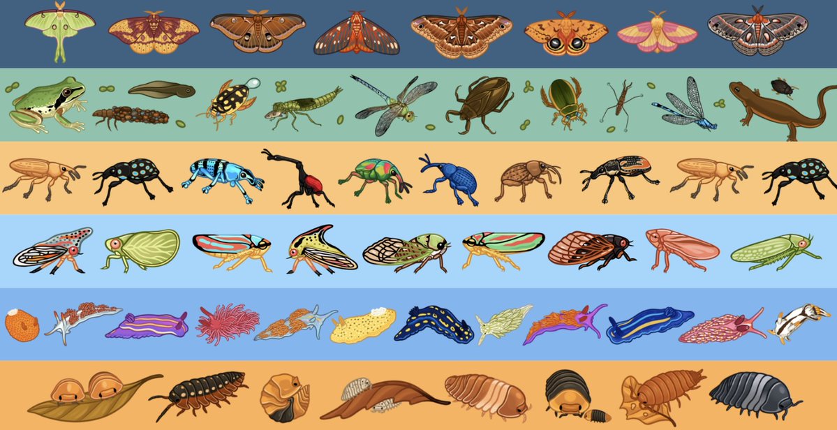 fossilforager's tweet photo. designing some new critter washi tapes &amp; wrist lanyards we're so back https://t.co/XCAcwiqZe7