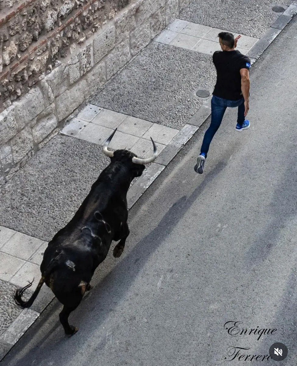 leopolderias's tweet photo. Un toro y un hombre.

Foto de Enrique Ferrero en Arganda. https://t.co/x1Z71cCc8H