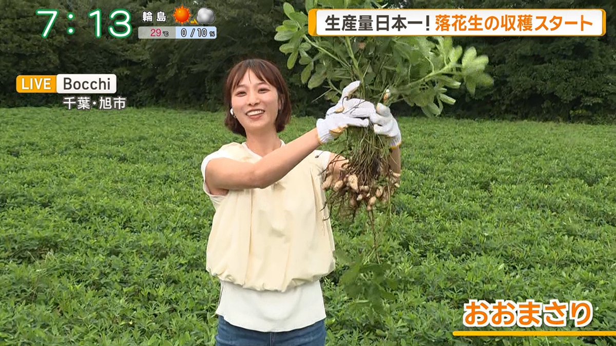 Black200T's tweet photo. 今朝のテレビ朝日、グッドモーニング
今井春花さんの、お天気コーナー7時台続き
また落花生収穫してるしｗ
色々気になる部分がありましたが https://t.co/ta1ElVLkSO