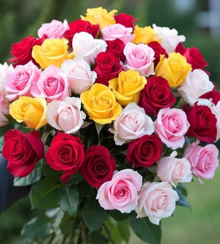 chima19661's tweet photo. 💐⚘️ https://t.co/nJc1JiETTt