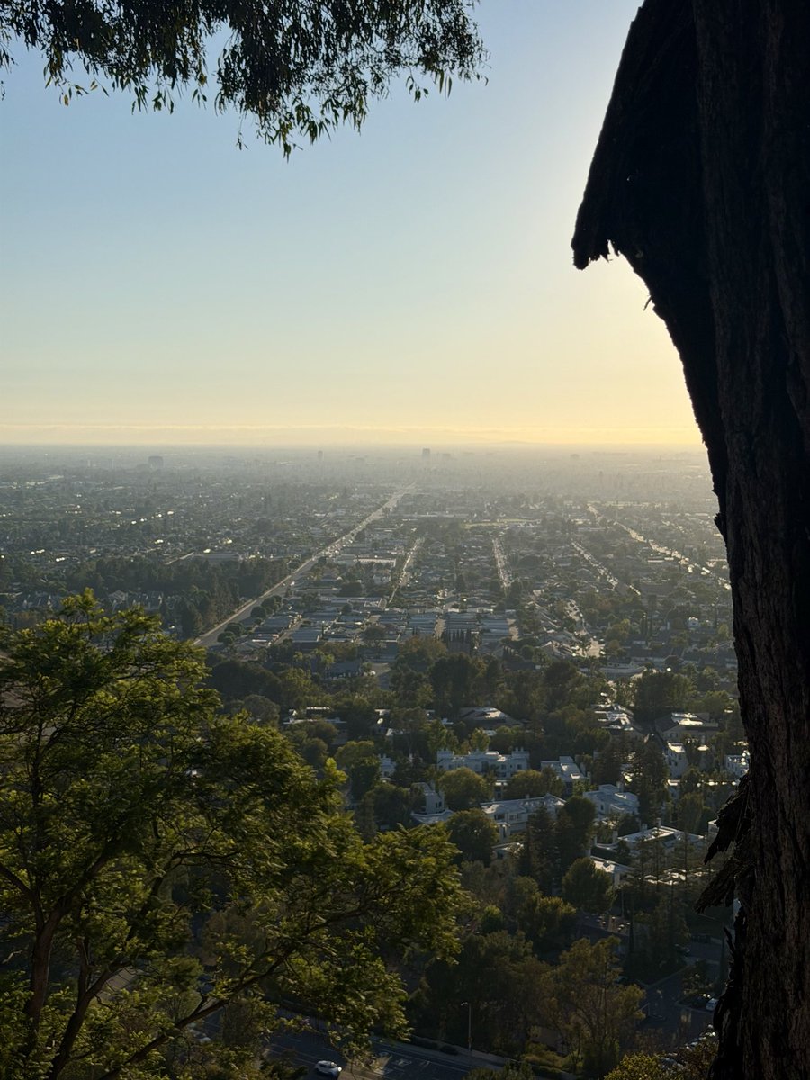 moeller4orange's tweet photo. District 6 Saturday Spotlight!

At the Orange International Street Fair this weekend? Stop by Orange Hill (since 1971) for steaks, seafood &amp; hilltop views in the #ScenicSixth! 🌅

📍 6410 E Chapman Ave #OrangeCA
🕒 Sat 10am–10pm https://t.co/TCDypIbh5B
