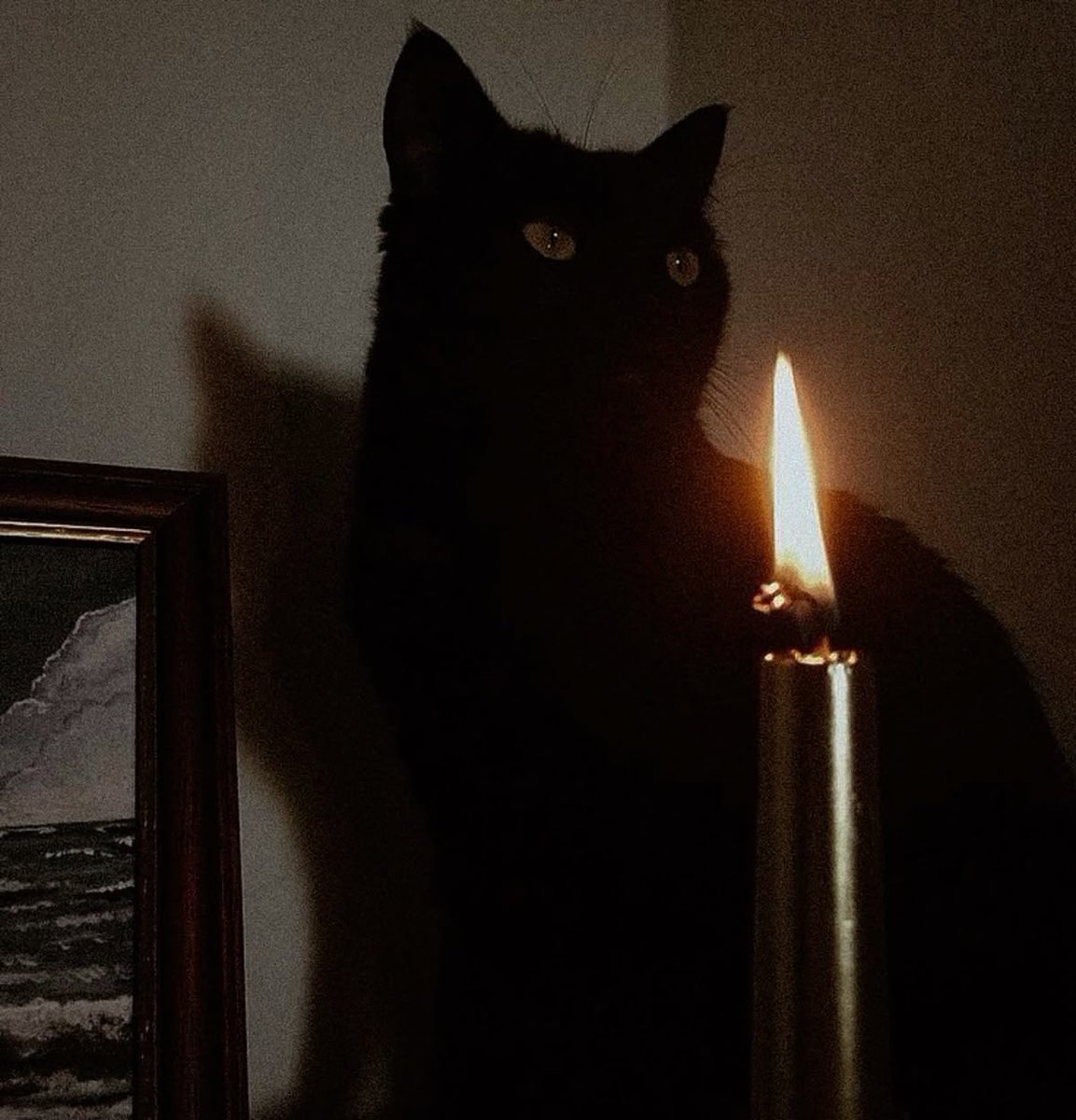 darkdreamvibe's tweet photo. https://t.co/3ePtMgosP0