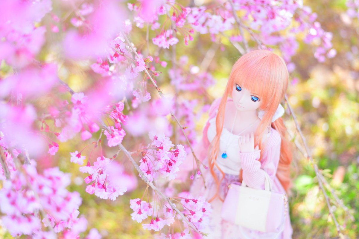 aigisu3's tweet photo. おはようございます😊
#おはドル https://t.co/hUF4KFL3GH