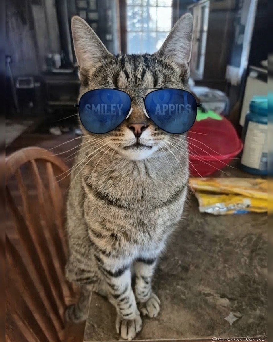 karenmckersie's tweet photo. My cool cat Max would also like to wish Everyone a Happy Caturday! 😻✨️🌞 #Caturday #MyPet #CoolCat #Cat #Appics #SmileyAppics https://t.co/iD8zpOfxcV