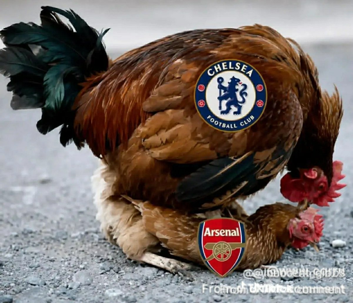 odogwuenergy's tweet photo. Current Status:

○ Single.
○ In a relationship.
● Waiting for Xabi Alonso ball on Sunday https://t.co/0VJjOat9wX