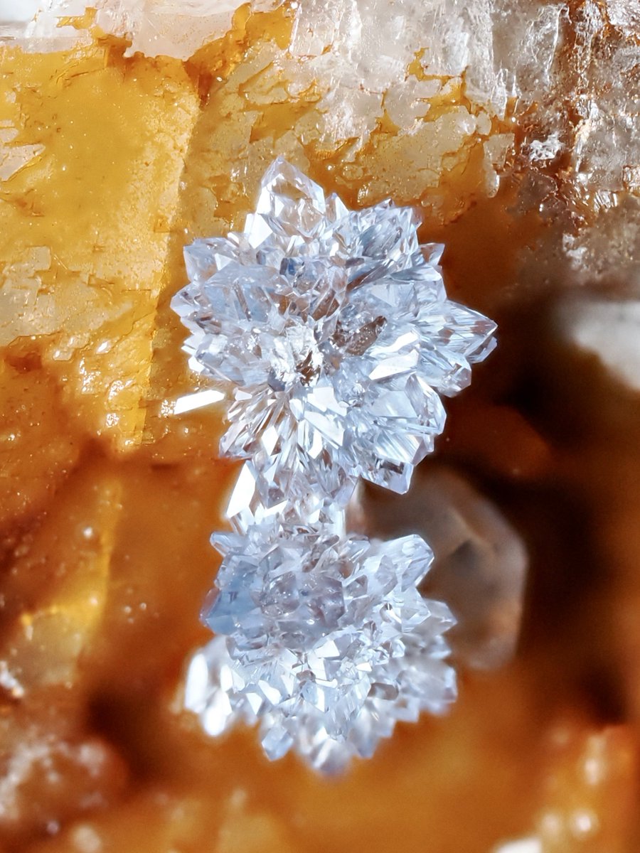 zarame_ishi's tweet photo. ずっと欲しかったクララ鉱山のスコロダイト

Scorodite (Clara Mine, Freiburg Region, Germany)

LIBER MINERALSさん(@LiberMinerals)にて
#ミネラルザワールドin日本橋 https://t.co/XBy2IuX7UX