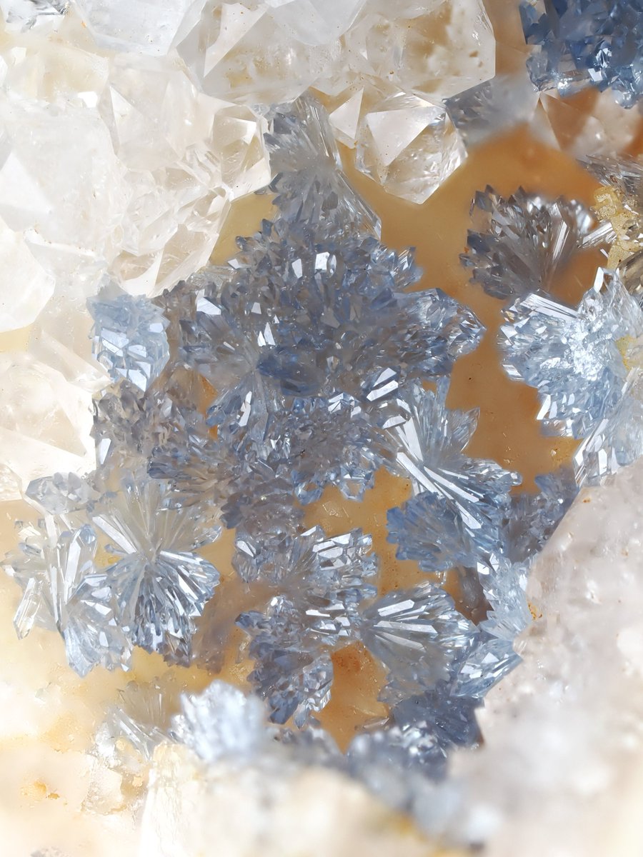 zarame_ishi's tweet photo. ずっと欲しかったクララ鉱山のスコロダイト

Scorodite (Clara Mine, Freiburg Region, Germany)

LIBER MINERALSさん(@LiberMinerals)にて
#ミネラルザワールドin日本橋 https://t.co/XBy2IuX7UX