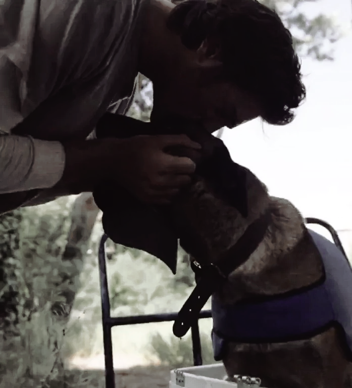 losingdogbets's tweet photo. ** ( he may have went to the shelter this weekend to adopt a dog. ) https://t.co/OXlRJTQEYl