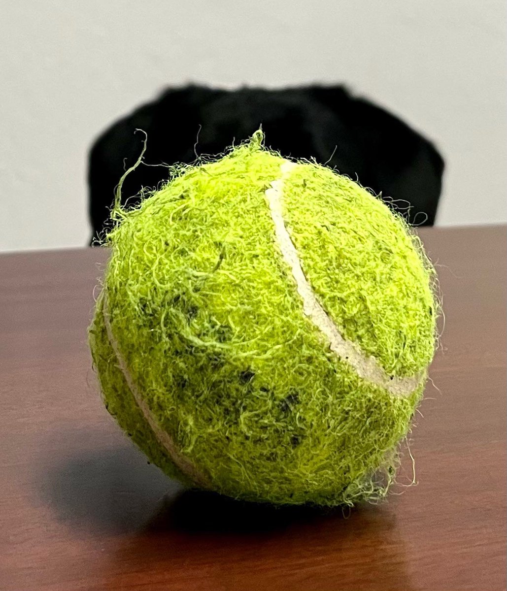 DonEDavie's tweet photo. Thatcher is reminding me that “ball is life”.
Thatchers moment of happiness!
#ballislife #dog #servicedog #ihatehashtags #momentofhappiness https://t.co/07Lzb41gNA