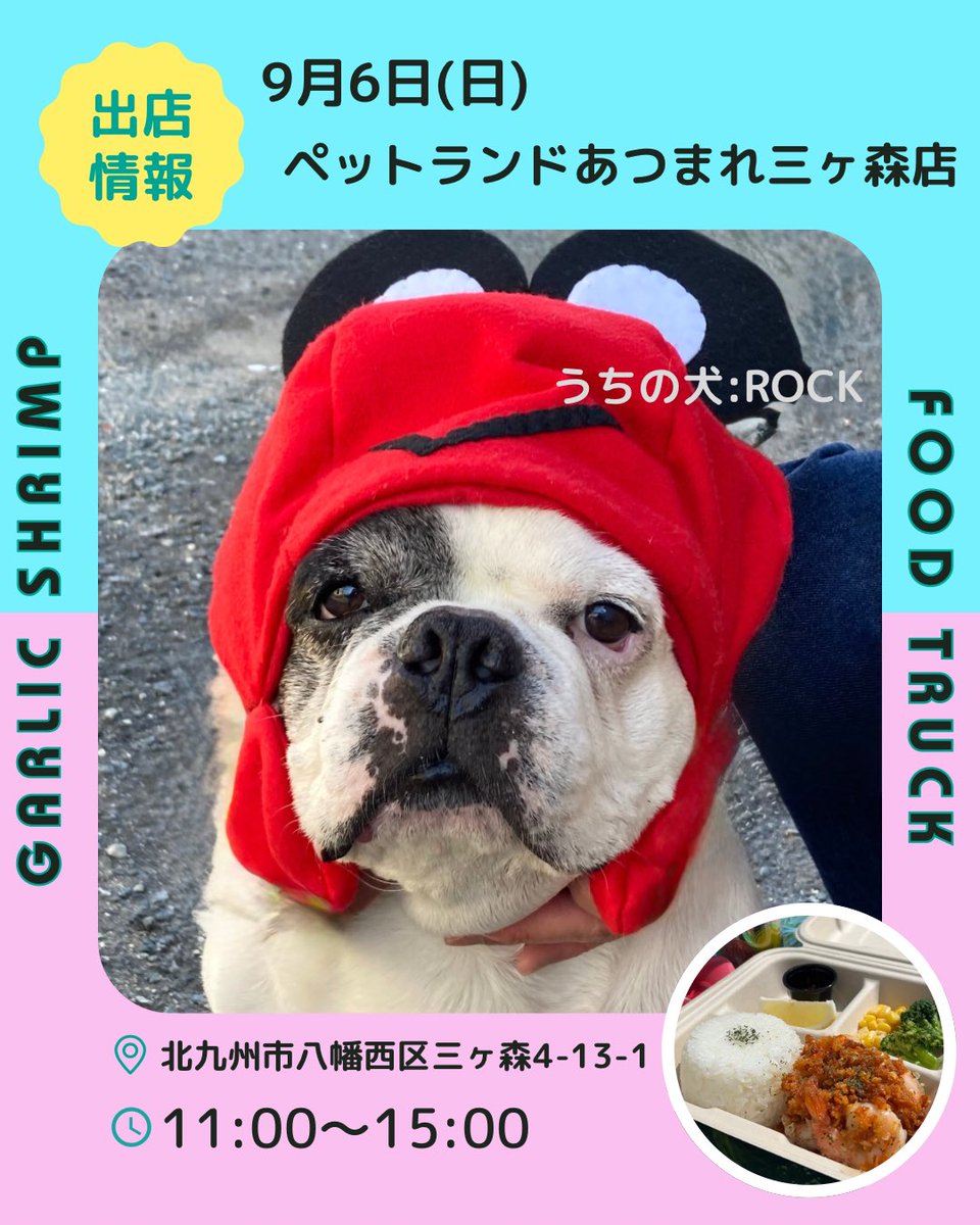 MoaniShrimp's tweet photo. おはようございます✨

9月6日(日)は11時より15時まで、ペットランドあつまれ様に出店致します🚚

📍北九州市八幡西区三ヶ森4-13-1

ご予約も承ります🦐
📱080-3947-9010

皆様のお越しをお待ちしております🌈 https://t.co/IZ4a2KiVIt