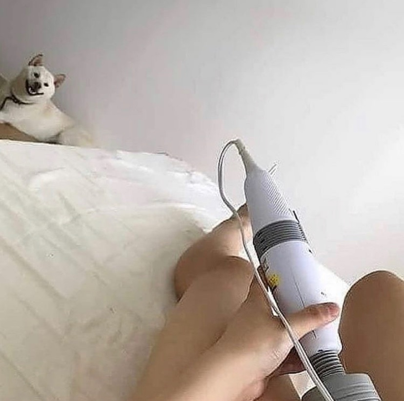 fleshlightbug's tweet photo. @GeneralSamsSec Make sure not to feed it so they don't rely on humans to survive! https://t.co/bd5CuaFWXb