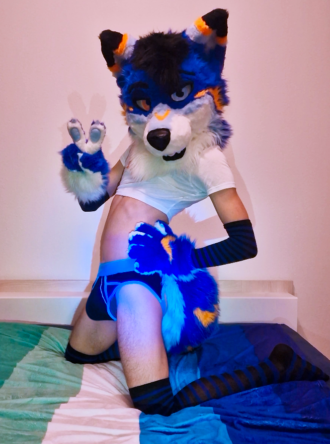 DashWolf_AD's tweet photo. Who's next to share with this Blue Gay Twink Wuff ? ~
#Bulge #jockstrap #twink #gay #furry https://t.co/RRGwKZ5bnK