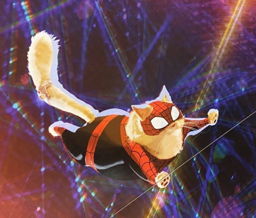 SpiderManVibe's tweet photo. i love the ameowzing spider cat so much 😭 https://t.co/D6VfK1BxhU