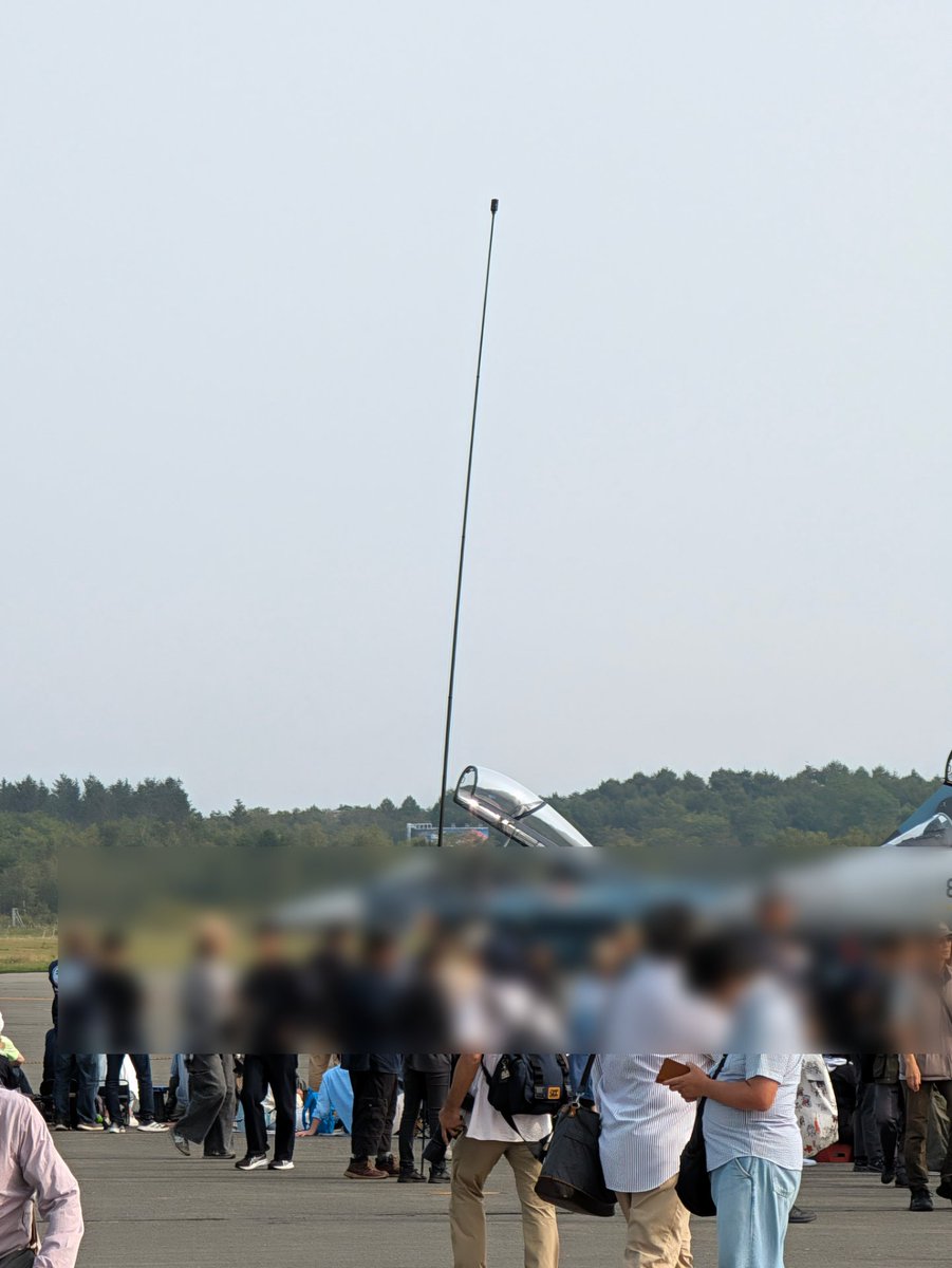 __kiakiraki__'s tweet photo. 5mくらいの棒掲げてる頭おかしい奴がいる https://t.co/fA0vWnEYvD