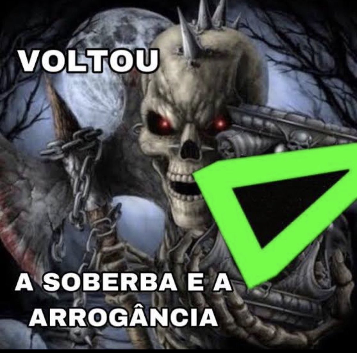 sandr7n's tweet photo. A GENTE TÁ NO CHAMPIONS FAMÍLIAAAAAAAAAAAAAAAAAAAAA 

PQP QUE FELICIDADE 😭💚 https://t.co/v6UsrBYy5L