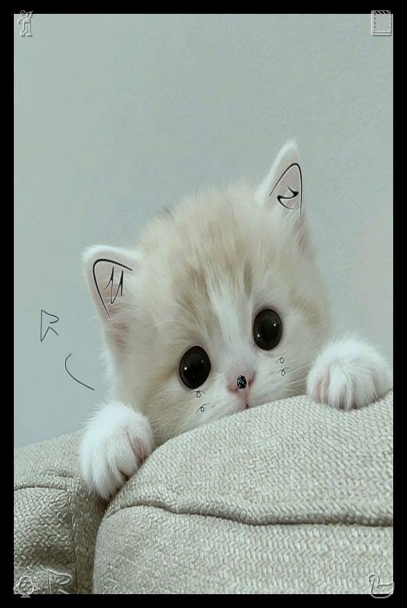 Jay2Vers's tweet photo. 电报收不到验证码 https://t.co/fAd83E7XGI