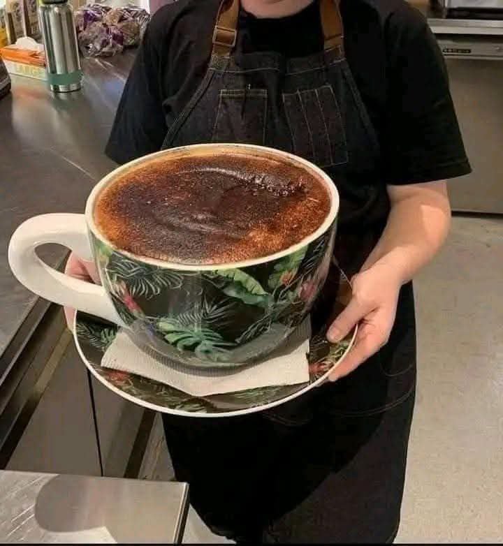 waeltaher4's tweet photo. ( ͡° ͜ʖ ͡°)

كل شئ ف وقته حلو واللي يستعجل ع رغيفه ياكله عجين👌

. https://t.co/SjOqufTkOm