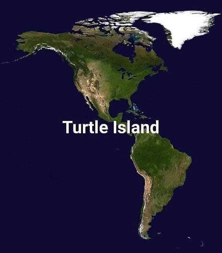 YoanaVega10's tweet photo. @DaronHorne5 How can they learn?
#TurtleIsland π’ π
#Turtleislanders, not, "#Amerikkka." https://t.co/frGZlJbkoX