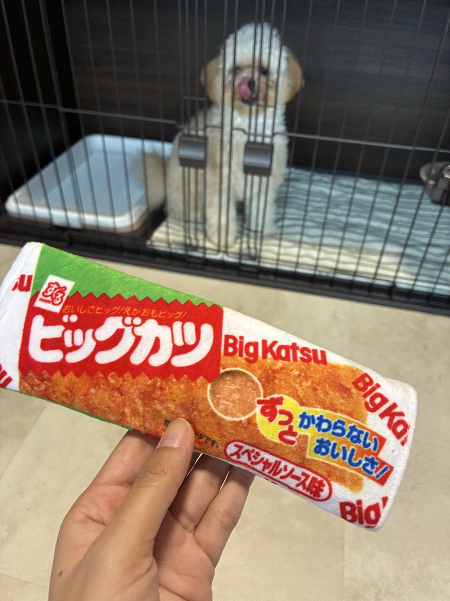 fika_1122's tweet photo. 初めてのビッグカツに大興奮の犬🐶
※犬用おもちゃです笑
#ペキプー #ビッグカツ #犬好きな人と繋がりたい https://t.co/T0WsJFJbA8