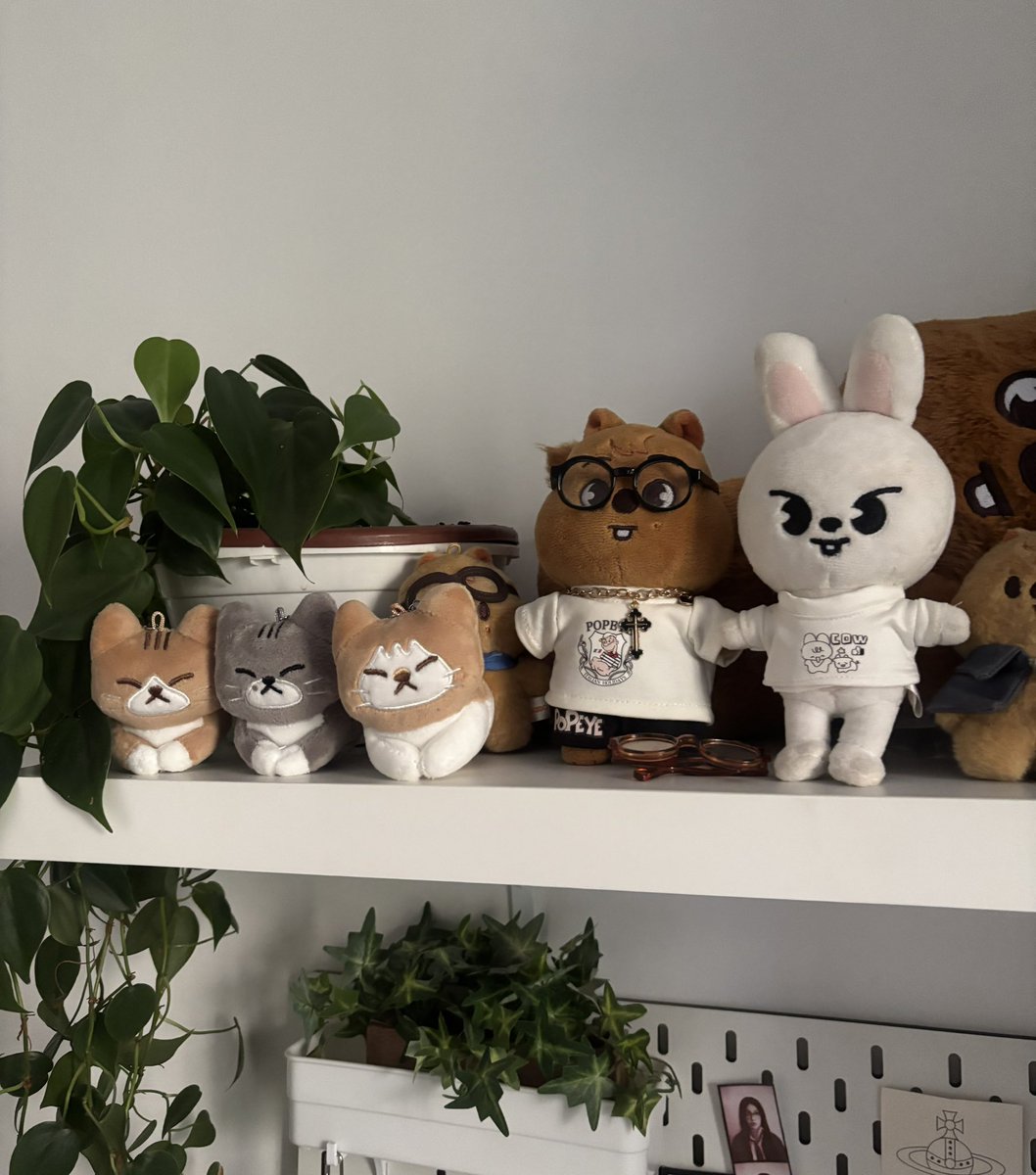 jisungje's tweet photo. quando a gabriella vem p minha casa a primeira coisa q ela faz eh enfiar os leebit dela na minha quokkaland https://t.co/Y7coZStZOo