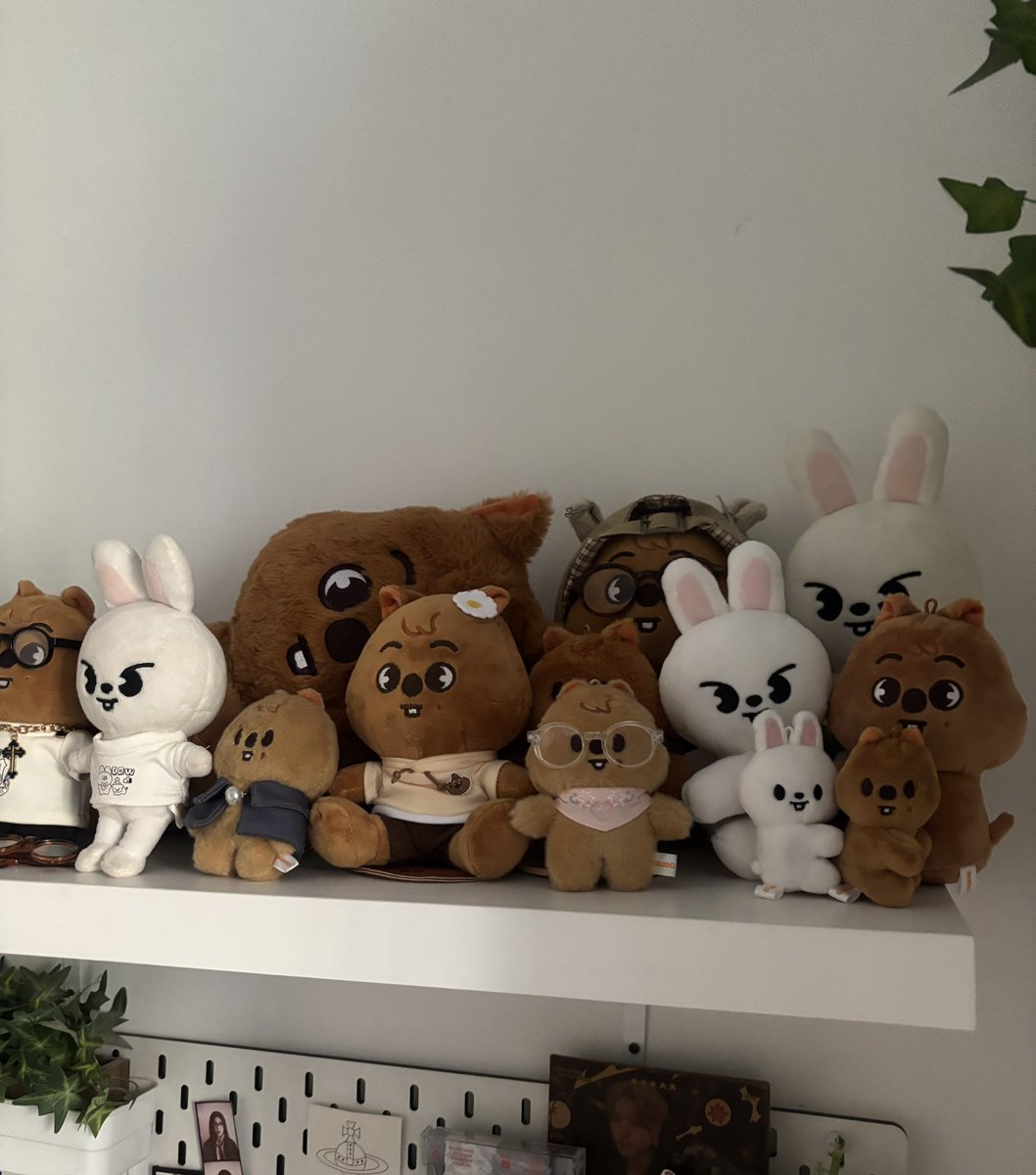 jisungje's tweet photo. quando a gabriella vem p minha casa a primeira coisa q ela faz eh enfiar os leebit dela na minha quokkaland https://t.co/Y7coZStZOo
