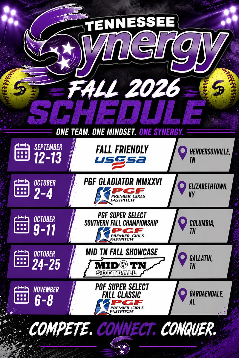 TNSynergy2030's tweet photo. 🥎💜 https://t.co/ZKanQyq6XA