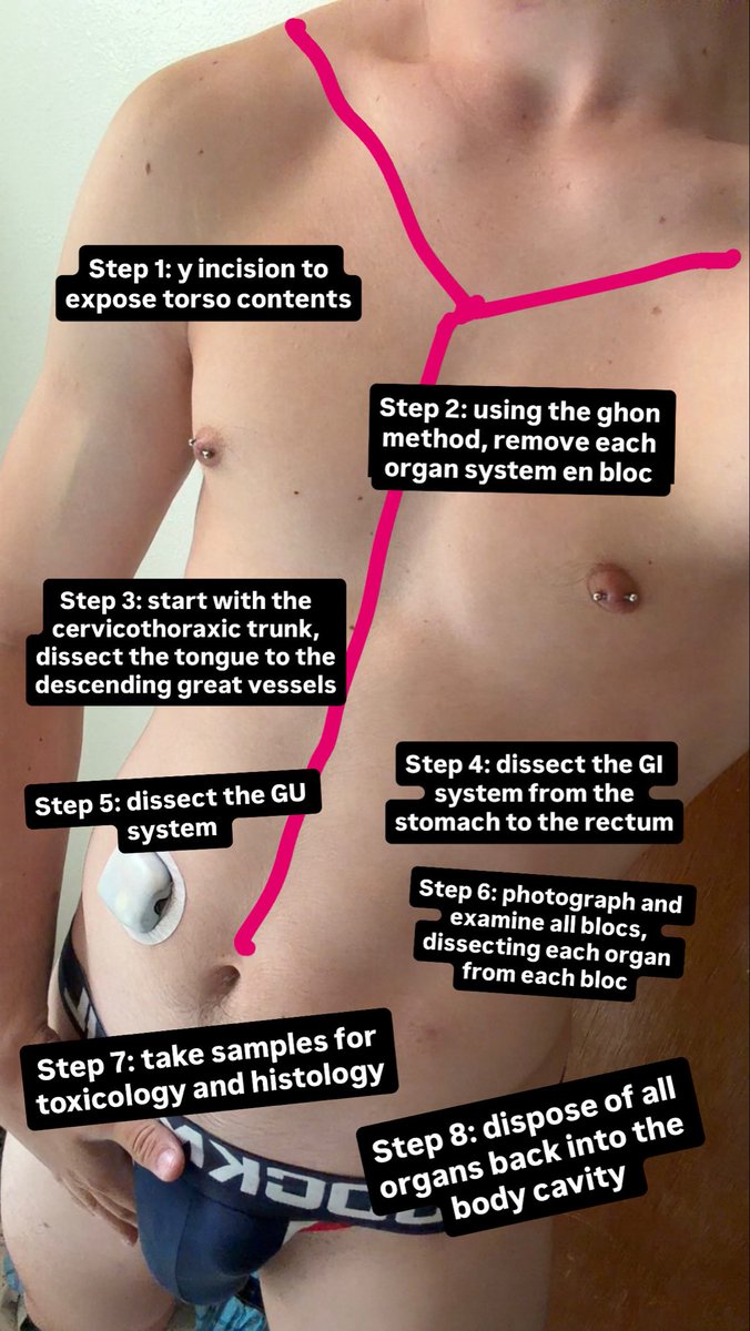 deagle_irl's tweet photo. Here’s how I would dissect you for a clinical autopsy 💕 https://t.co/P1vBSrBQcT