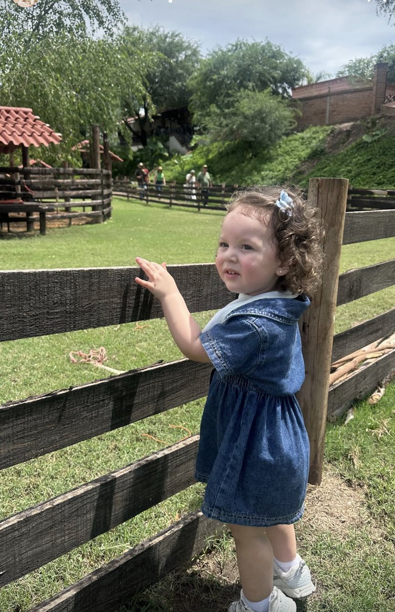 wendyduenez's tweet photo. My baby girl is growing up too fast. She is visiting family with her mama in Mexico and I’m missing her. She’ll come back telling Dolly(me) all her adventures in Spanish. She’ll be 2 on Christmas Eve. Shes the best gift I’ve ever gotten. #grandbaby #dolly https://t.co/vODMjNJIiS