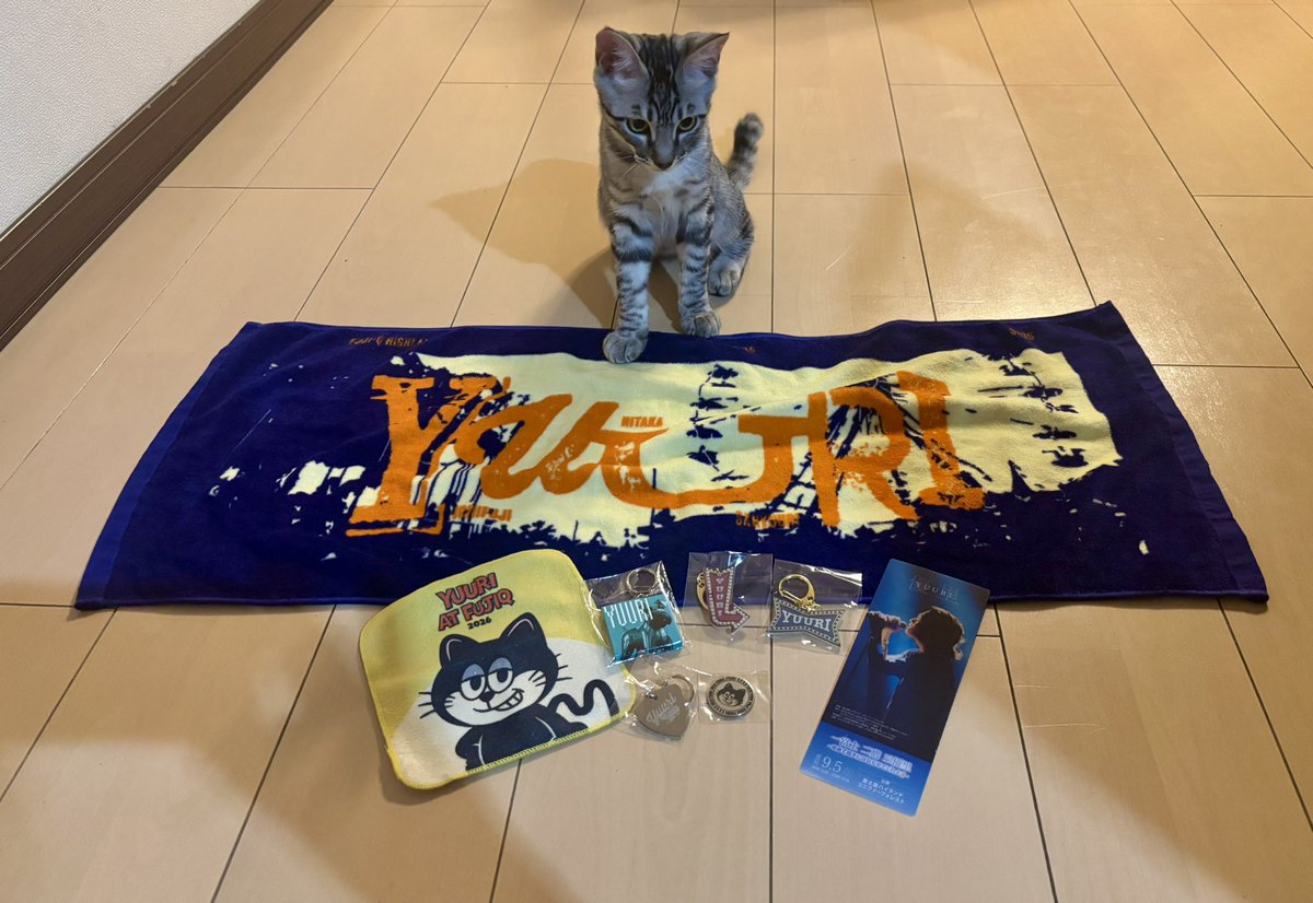 miomio_8787's tweet photo. 楽しすぎた🧡
沢山のサプライズをありがとう🎁✨
#yuuri_official 
#一富士二鷹三優里
#ゆーりんち
#富士急ハイランドコニファーフォレスト
#吉田うどん https://t.co/MXq5adQi3l