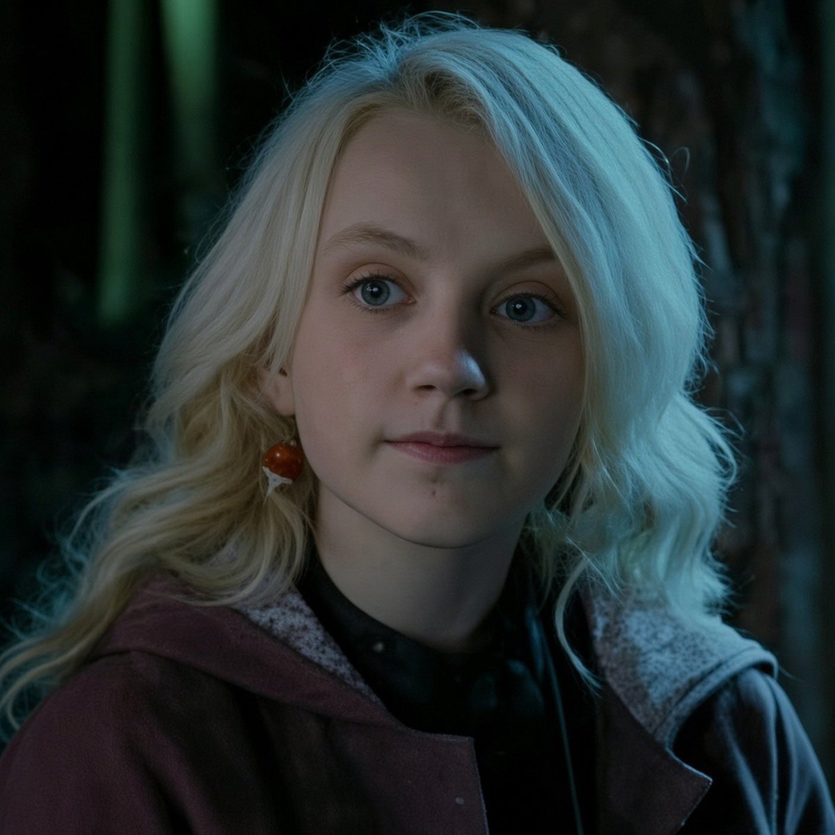 CentralHogwarts's tweet photo. Agora uma verdade: nessa cena, nos filmes, a Hermione chama a Luna de “Di-Lua”, mas a Luna NUNCA chamaria a Hermione de “sangue-ruim”. https://t.co/KoaAJfSO5h