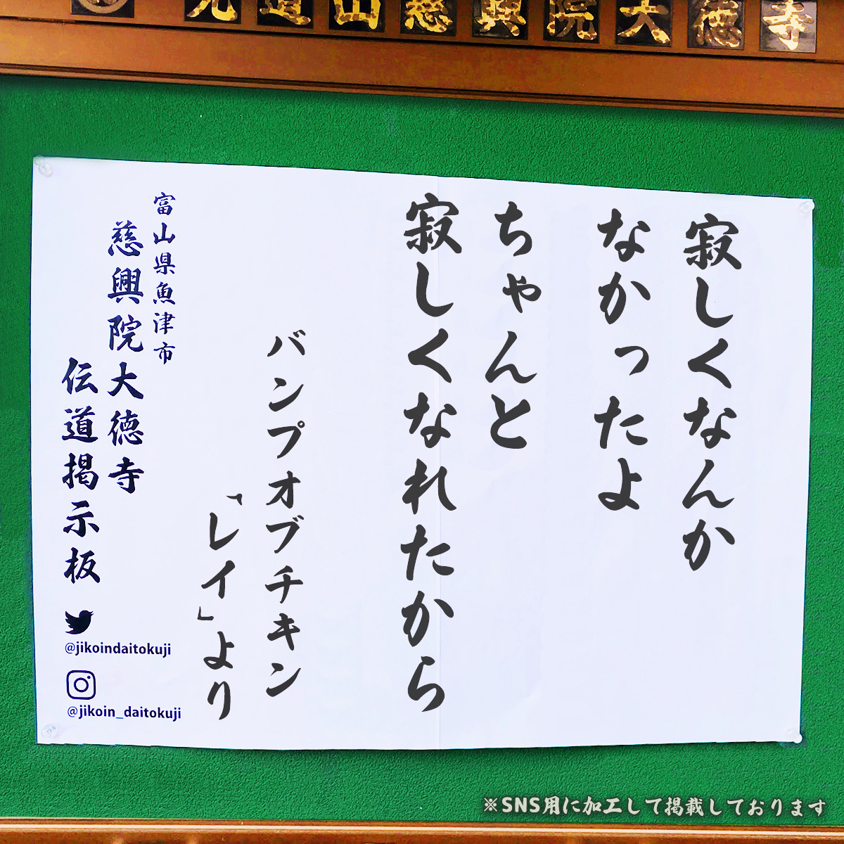 jikoindaitokuji's tweet photo. 2026年9月 慈興院大徳寺 お寺の掲示板を更新

"寂しくなんかなかったよ
ちゃんと寂しくなれたから"
#BUMPOFCHICKEN – ray より

大切な人や場所から離れたとき、
ぽっかりと心に穴があいたような寂しさに、
押しつぶされそうになることがあります。

できれば感じたくないものとして、
胸の奥に閉じ込めてしまいたくなる日もあるでしょう。

けれど、「寂しい」と思えるのは、
それだけ大切に思えるものに出会えたからではないでしょうか。

もしも誰とも心を通わせず、
何にも心を動かされることがなかったなら、
きっと寂しさを知ることもなかったはずです。

仏教では、すべてのものは移り変わり、
永遠にとどまるものはないと説かれます。
どんな出会いにも、いつかは離れる時がやってくる。
切ないことのようですが、
だからこそ「そのご縁に巡りあえたこと」そのものが、
かけがえのない光だったのだと思います。

寂しさを感じられる心。
それは、誰かとちゃんと温もりを交わしてきたからこそ、
生まれてくるものなのかもしれません。

「ちゃんと寂しくなれた」その心を、
そっと受け止めてあげたいものですね。

🙏合掌🙏