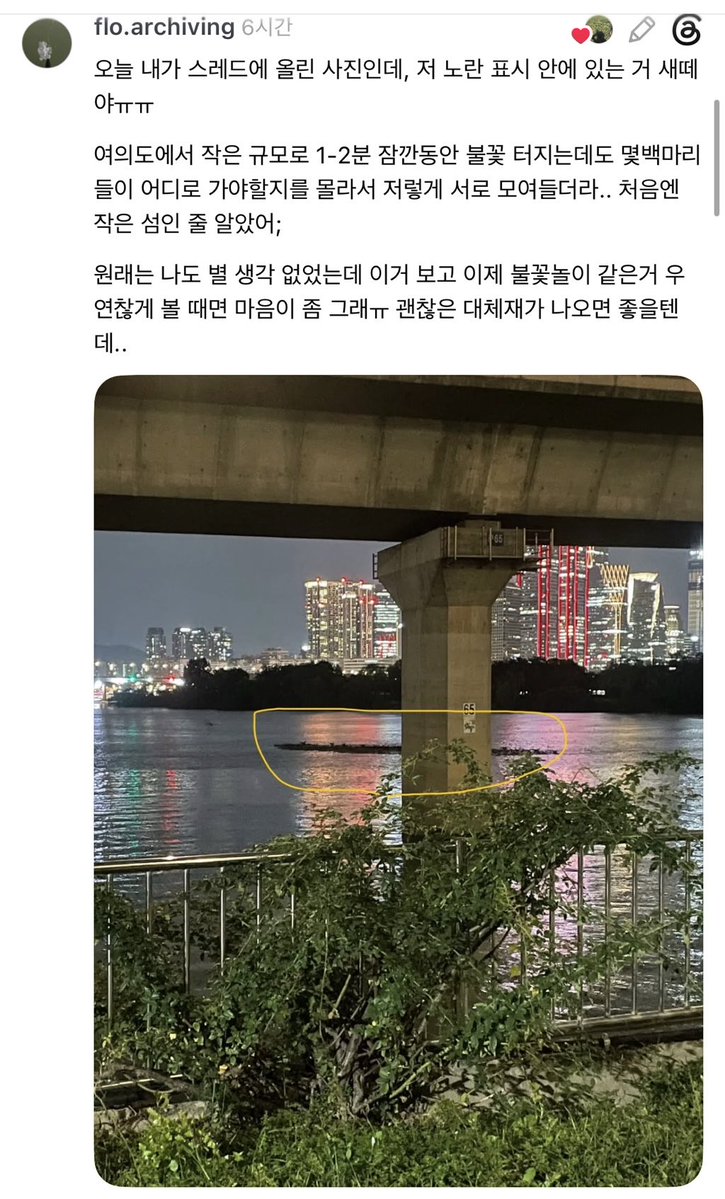 selbst_'s tweet photo. 불꽃놀이는 다 끝나버렸지만 불꽃놀이 안 좋아함 이 글들 보고 난 이후부터는
새 뿐만 아니라 강아지나 고양이 수달 너구리 등 이제 예뻐보이는게 아니고 동물들만 떠오름 https://t.co/vBCFcNnsKp