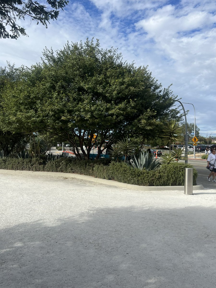 Flapjack987's tweet photo. @seokgenieslamp We are right behind the Sofi sign under the shade https://t.co/7Gbl9zBhJo