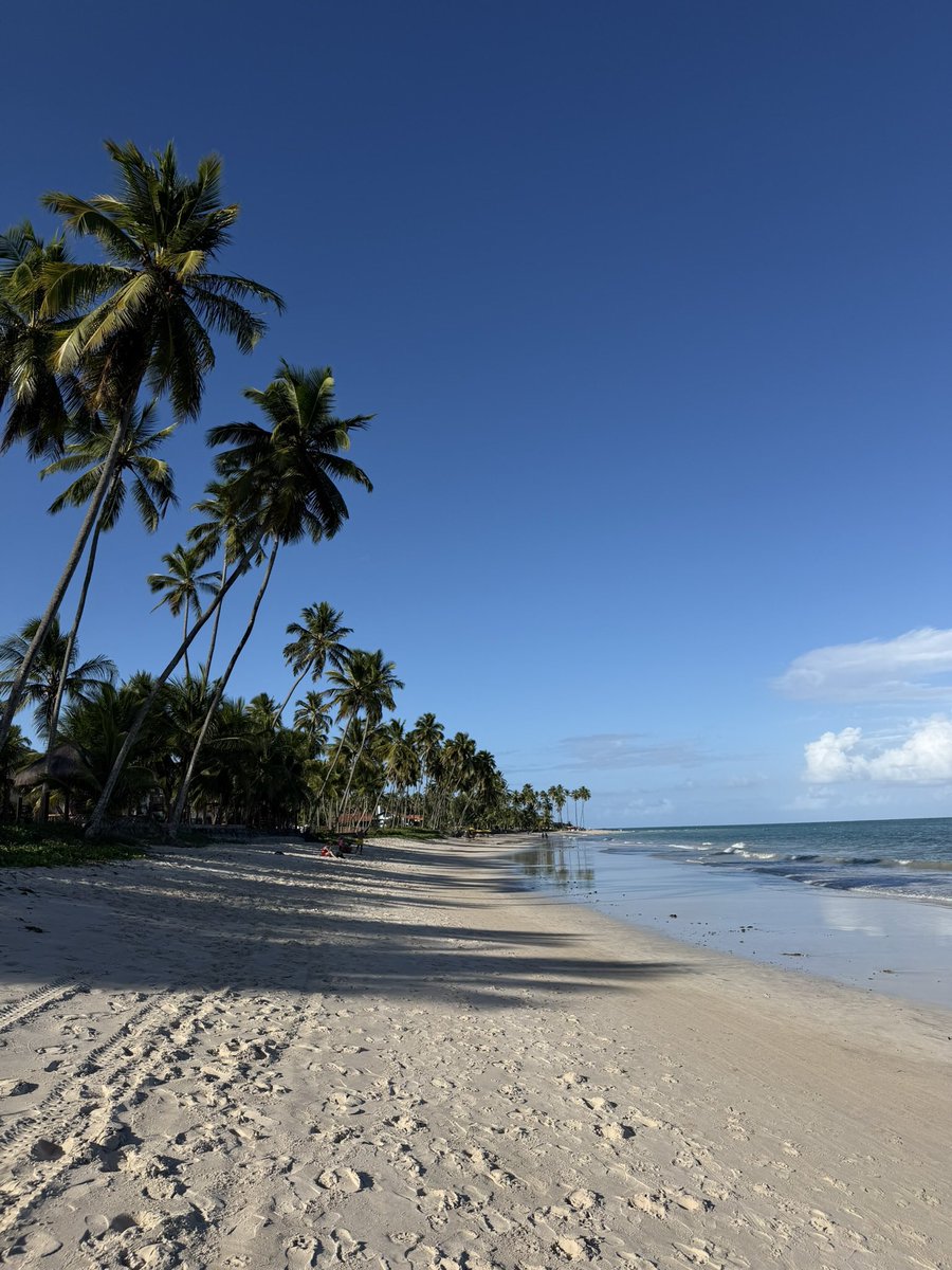 jazmincsanchez's tweet photo. @chicodlasmillas Carneiros en Tamandaré
López Mendes en Ilha grande 
Antunes en Maragogi 
Francés cerca de Maceio 

(la foto es Carneiros 🥰) https://t.co/MDuuHftL0w