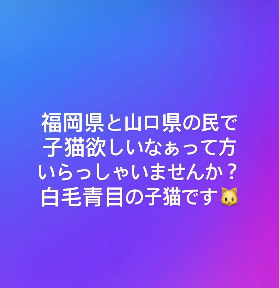 Minato_Rurino's tweet photo. 他にも数匹居るそうです〜🙆‍♀️ https://t.co/fqV2EFL1d7