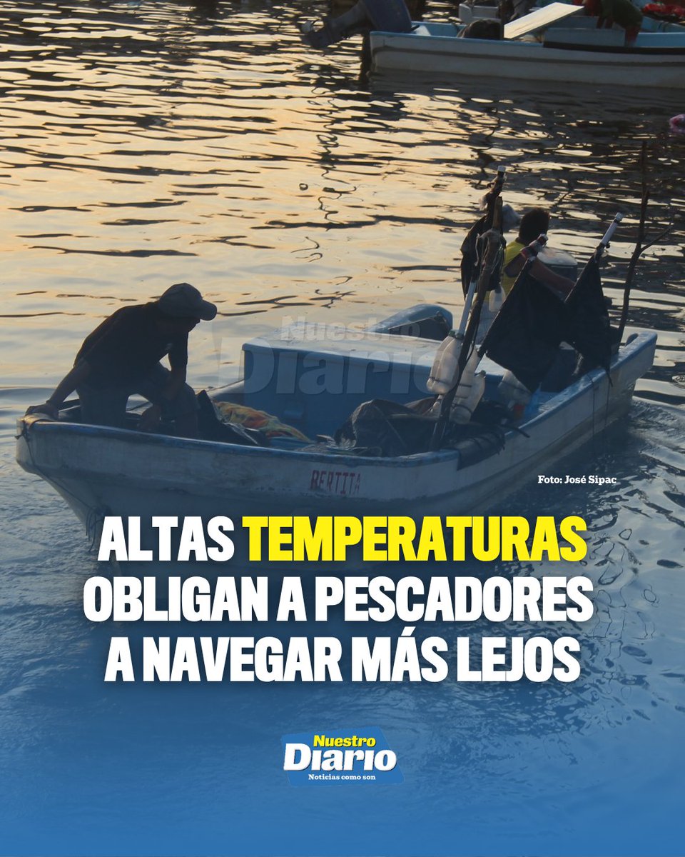 NuestroDiario's tweet photo. 🌊🐟 EL CALOR TAMBIÉN GOLPEA A LOS PESCADORES 🌊☀️

#PorSiNoLoViste Las altas temperaturas de los océanos Pacífico y Atlántico han alejado los bancos de peces hacia aguas más profundas, obligando a los pescadores a recorrer mayores distancias y gastar más en combustible. Las capturas han caído de hasta ocho quintales a apenas uno o dos, mientras los bajos precios que reciben de intermediarios reducen aún más las ganancias de cientos de familias que dependen de esta actividad 🎣.

#NuestroDiario, noticias como son. 📰
#ComunidadND #DigitalND