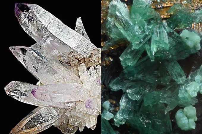 Split photo of clear quartz points radiating from a central point, with amethyst purple at some of the tips and cool mint green asagiite in mostly log-shaped crystals, with a few blobby bits.