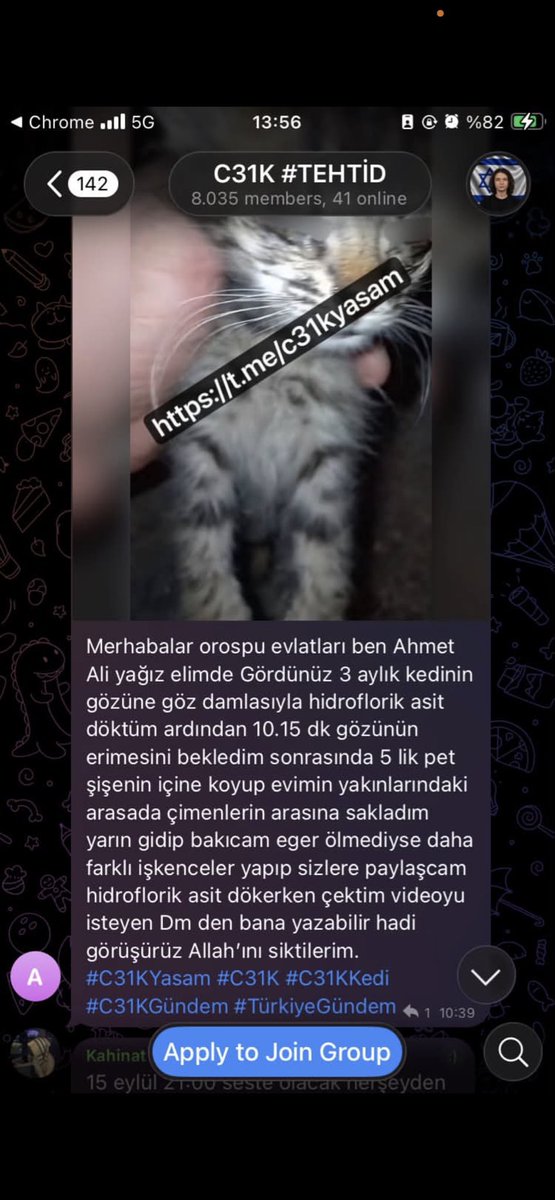 AtaturkBlack's tweet photo. AYAĞA KALK TÜRKİYE 

(HAŞA) tövbe YARABBİM 

ALLAH’ınıza KÜFÜR ediliyor.
Daha nice kedilerin katliam videolarının yayınlanacak olmasından bahsediyor.

DİLSİZ ŞEYTAN OLMAYIN😡

#HayvanHaklarıŞart 
#C31KTutuklansın 

@EmniyetGM @SiberayEGM 
@adalet_bakanlik @abakingurlek 

HEYYY📣 https://t.co/L0VTN5mV76