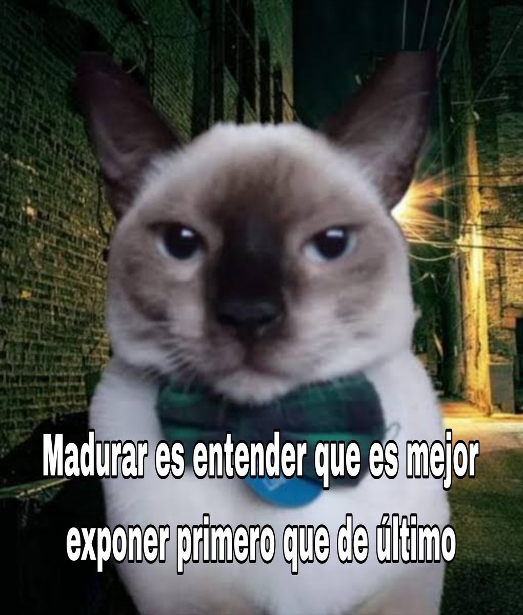 memes_una tweet picture