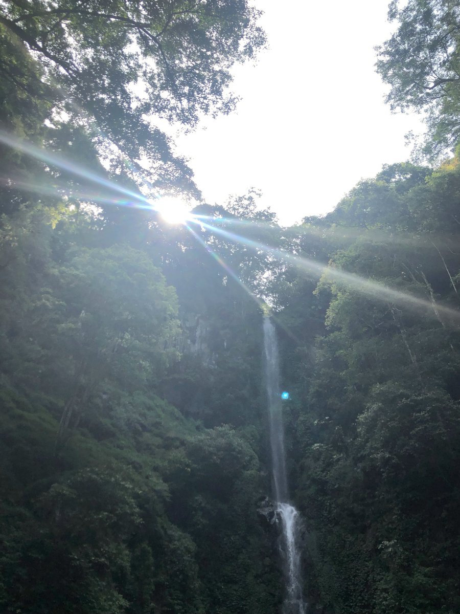 senasides's tweet photo. "demam doang, masih bisa kan jalan?" https://t.co/CHxD1JxchC