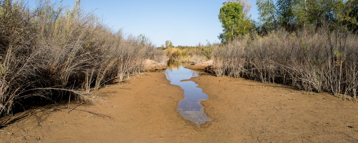 Colorado River Is Failing — & Tijuana Discovers It Cannot Carry Enough Water Across Baja California