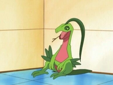 acervotreecko's tweet photo. grovyle (treecko grande) exausto pós dia cansativo

descansa guerreiro, voce merece https://t.co/nV8fOi8Dti