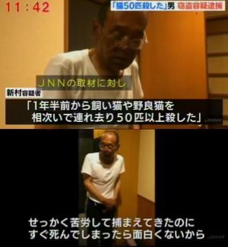 mama00007777's tweet photo. このおっさんも許せん😡
他人の飼い猫を誘拐して
風呂場に監禁、絶食、熱湯をかける、鋭い棒で刺すなどして拷問虐待を楽しみ、直ぐに殺したら面白く無いと答えた😡😡😡 https://t.co/1YTfXgX3iS