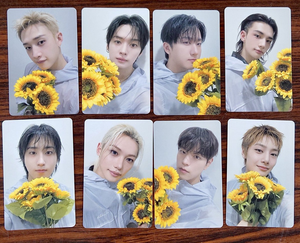 shoyoskz's tweet photo. SKZ WITH SUNFLOWERS PHOTOCARDS🥹 https://t.co/rORA780zeS