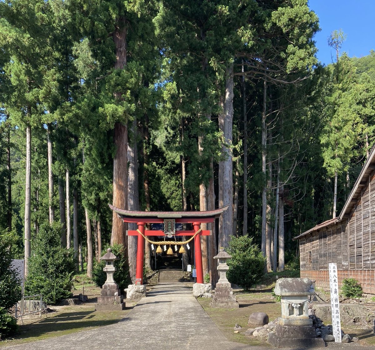 kuromame_maccha's tweet photo. 三条市下田 断崖絶壁のふもとにある八木神社を参拝しました
大きな杉の木に囲まれ真夏の暑い日でも冷んやり清々しい空気の中にあります
去年から何度��参拝していますが今回初めて御朱印を頂きました https://t.co/8ogVOHCzyI