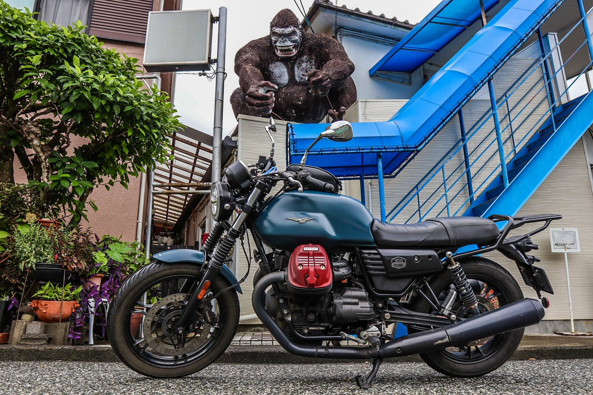 harry1029harry's tweet photo. ハイリハイリフレ
ハイリホ  ♪

掛川市郊外へ
お天気は丸大ハンバーグ

大きくなれよ https://t.co/2oHdgFK5I6