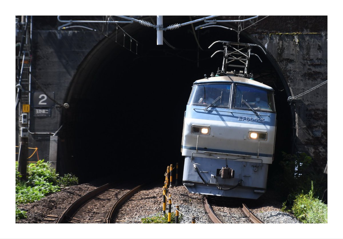 H4Rnw's tweet photo. 〜初投稿〜
TikTok Instagramで活動してます
どーも名鐵です
主に東海地方で活動してます
よろしくお願いします！
#撮り鉄 https://t.co/XBefQX9Nsw