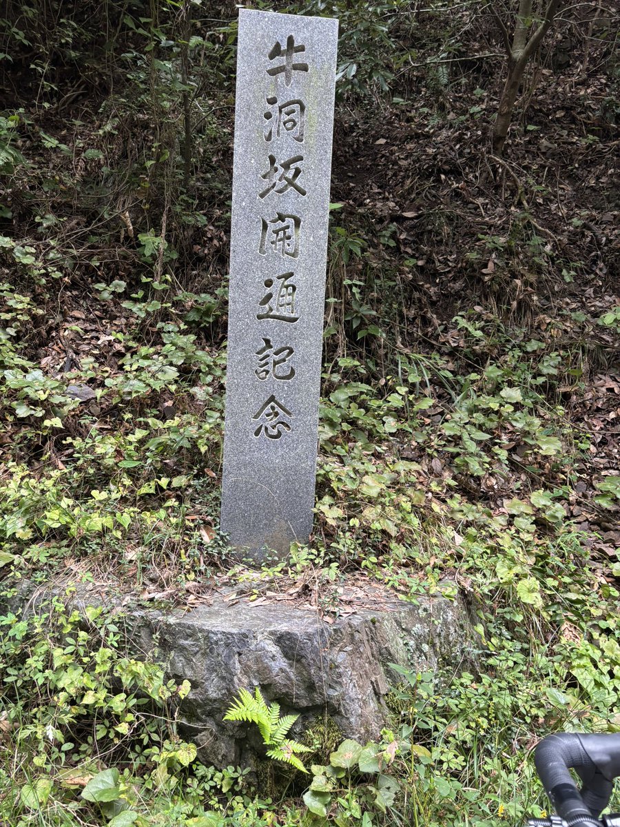 seinomuda's tweet photo. 仁坂坂→大谷スカイライン(揖斐川側)→牛洞坂
池田山難民はどこを走ってるのだろう・・・ https://t.co/zhlAO8iiBE