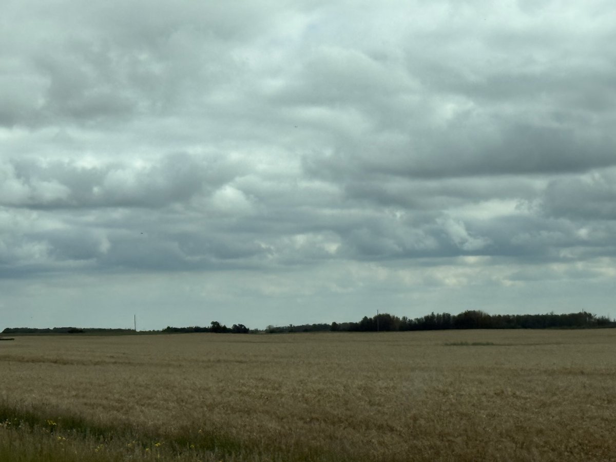 SmaielDanny's tweet photo. Tis the season! Crops look great for the rain volume this yr
#laclabiche https://t.co/SAiDOrkrqQ